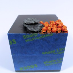 Warhammer AoS – Who Watches the Gods of Chaos?