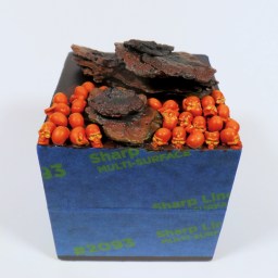 Warhammer AoS – Yet More Skulls for Khorne’s Glory